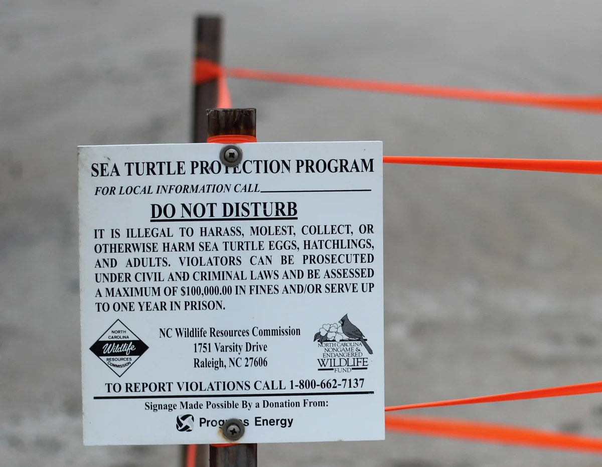 A sea turtle nest protection warning sign on a beach